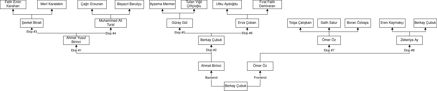 Organizasyon Şeması